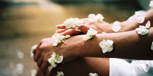 chris-jarvis-0Pf7fKRtDPI-unsplash chris-jarvis-0Pf7fKRtDPI-unsplash